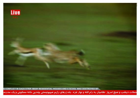 <a href="/artist/hamed-ghassemi">Hamed Ghassemi</a>